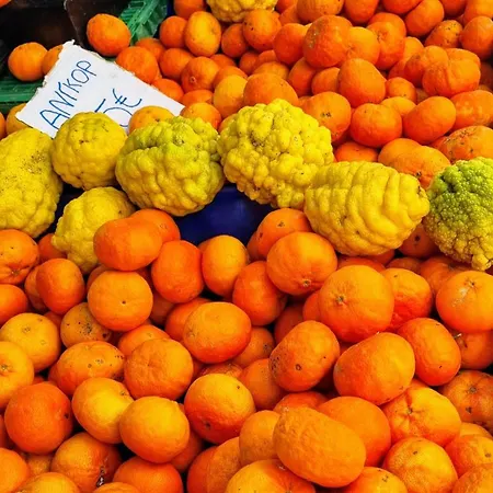 Prázdninový dům Thimari Gardens Chania (Crete)