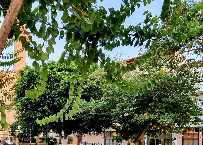 بيت للعطل Thimari Gardens خانيا